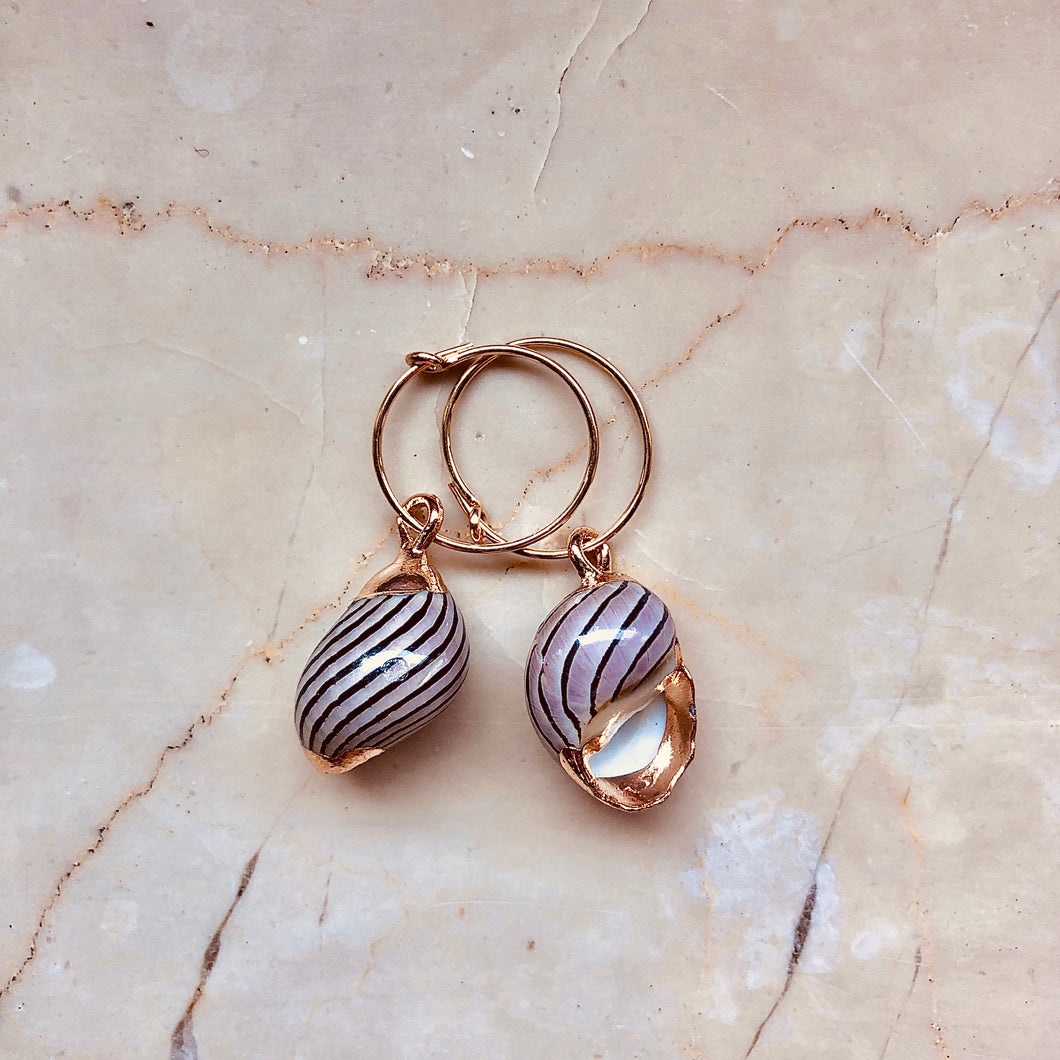 La Digue Stripes/Pois Shell Earrings