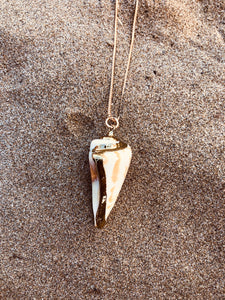 La Digue Shells Necklace - limited edition
